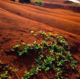 《最终幻想7：重生》PC版新预告 画面效果提升！